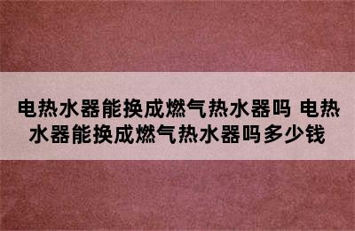 电热水器能换成燃气热水器吗 电热水器能换成燃气热水器吗多少钱